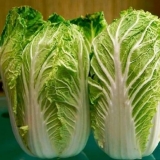 Kako kiseliti kineski kupus na korejskom + video